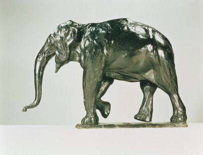 Elefante bianco da Rembrandt Bugatti